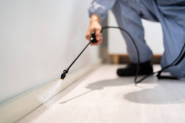 Licensed Fumigation Services service in Labette County County, KS - Nex Pest Control